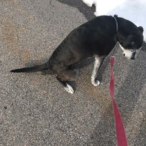 Meet your Posher, Joseph